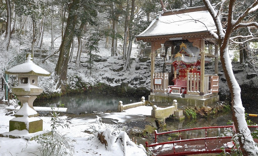 雪の泉が森